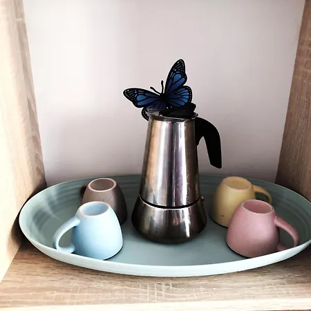 Butterfly In Suna With Garage Lägenhet Verbania