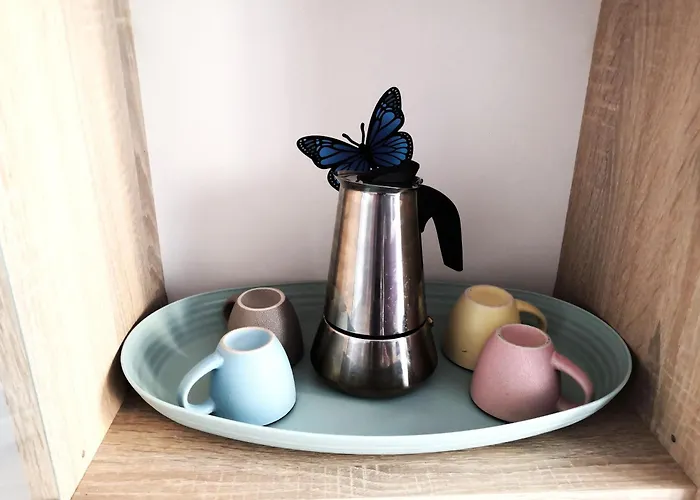 Butterfly In Suna With Garage Apartman Verbania